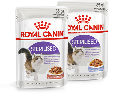 Изображение мини корма Royal Canin