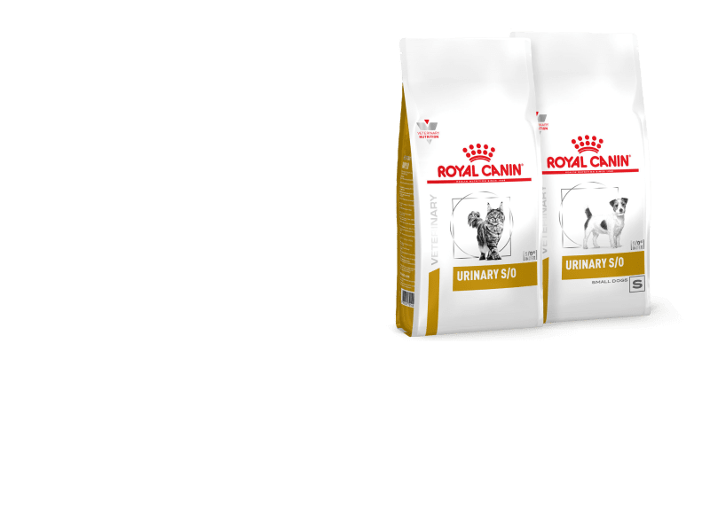 Две упаковки корма Royal Canin Urinary.