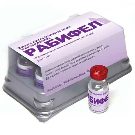 Вакцина Рабифел для кошек от бешенства