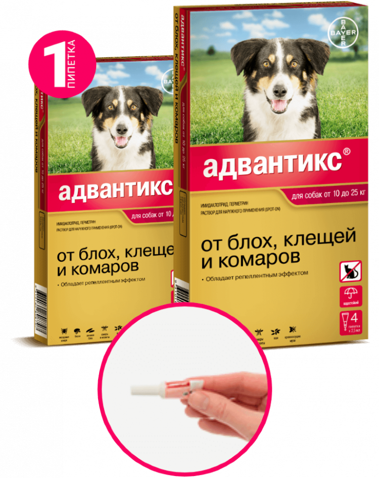 Капли от блох для щенков. Адвантикс для собак от 10 до 25 кг 1 пипетка. Адвантикс 250 для собак 10-25. Капли от блох и клещей для собак Адвантикс. Адвантикс капли для собак 1пипетка.